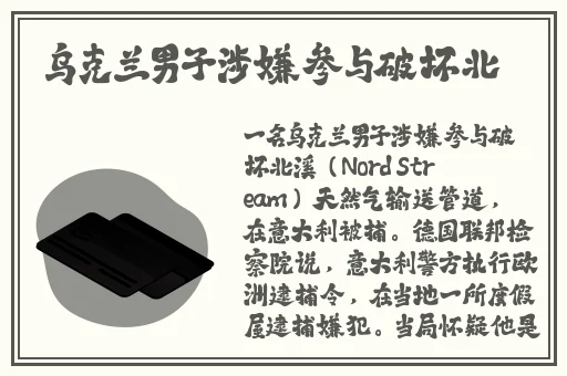 李雅视频